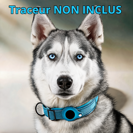 Collier pour Traceur - Chien