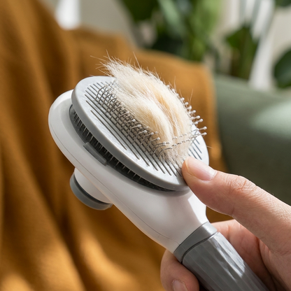 Brosse Attrape Poils Autonettoyante