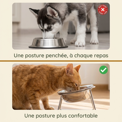 Gamelle acier inclinée surélevée - Nos essentiels
