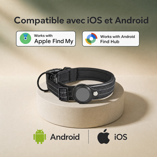 pack traceur & collier - chien