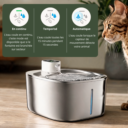 Fontaine à eau DELUXE 4L - Nos essentiels