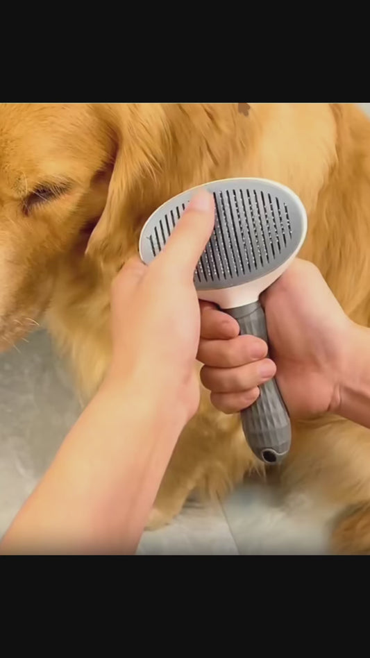 Brosse Attrape Poils Autonettoyante