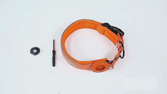 Collier pour Traceur - Chien